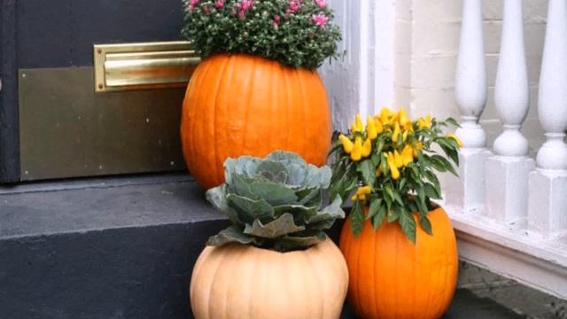 Поделки Из Картошки Своими Руками смотреть онлайн