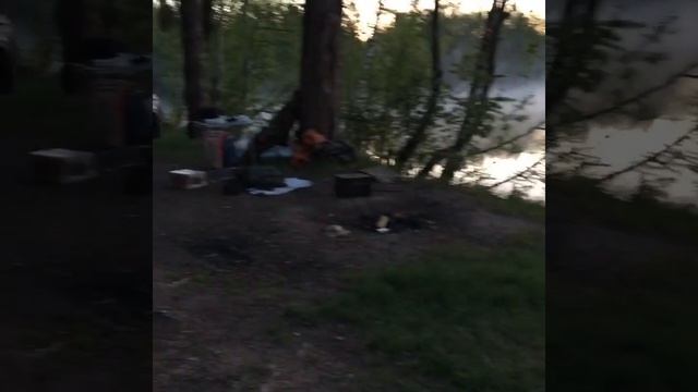 Рыбалка Сергиев посад смотреть онлайн