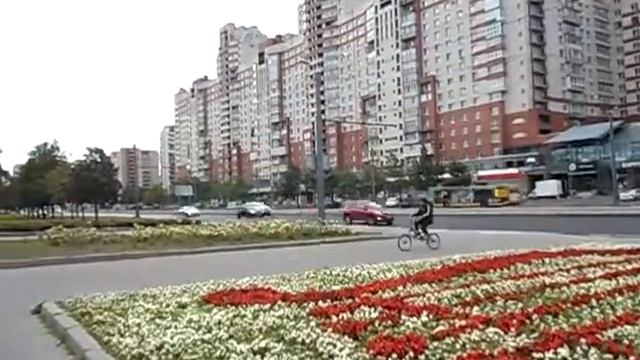 Б П, Черепаха на велике. смотреть онлайн