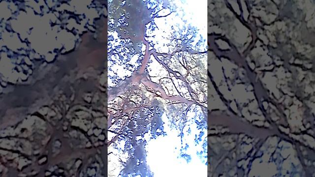 Что делать если скучно часть 2-я смотреть онлайн