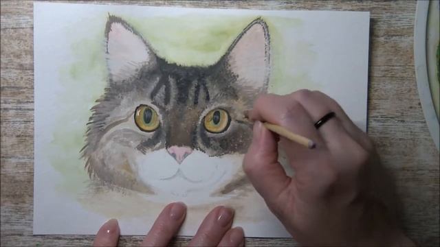 #art #cat #творчество Рисуем гуашью. Животные. (2019) Иллюстрация. Кот. смотреть онлайн