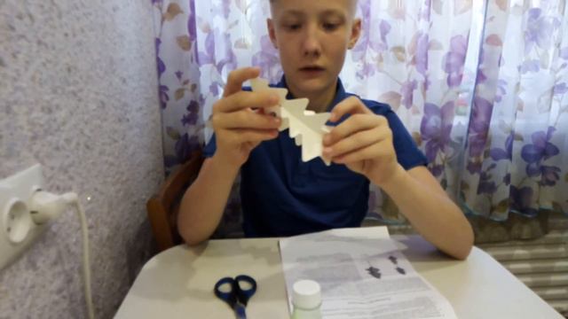 ЧТО-ТО ПОШЛО НЕ ТАК.Вырастил огромную елку в домашних условиях. смотреть онлайн