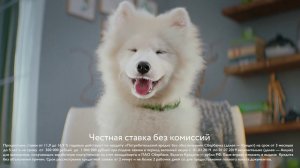 Дружелюбный кредит от Сбербанка