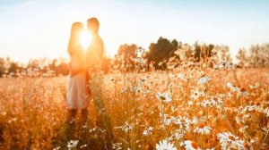 Ох, ты, ночка луговая, сенокосная пора