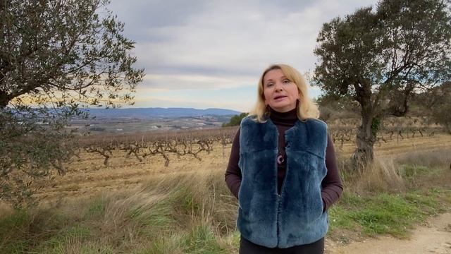 КАВА CAVA Часть 3 Откуда произошло название и как выбрать винодельню