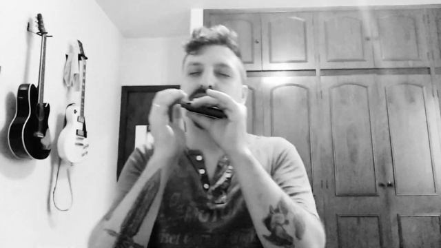 🎶 In The Air Tonight - Phil Collins (Harmonica Tab - na Gaita com Tablatura) смотреть онлайн