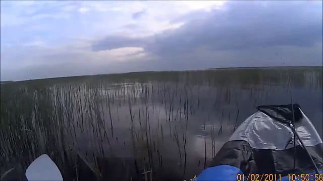 На "Налиме" через заросли смотреть онлайн