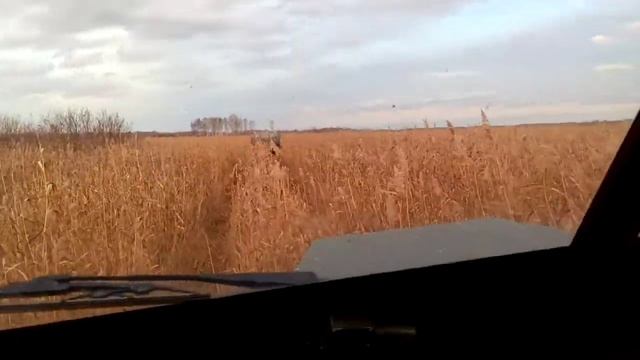 Снегоболотоход Тайпан по кочковому болоту. смотреть онлайн