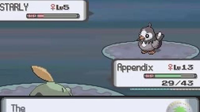 Let's Play Pokemon Perl; Metronome Team Only Run [Part 4] - Training für den Magen смотреть онлайн
