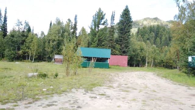 Кордон Заповедника ВКО 27 Растений 6 видов птиц 2 животных и Таймень занесены В Красную Книгу ?? смотреть онлайн