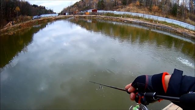 Осеняя ловля форели на платнике смотреть онлайн