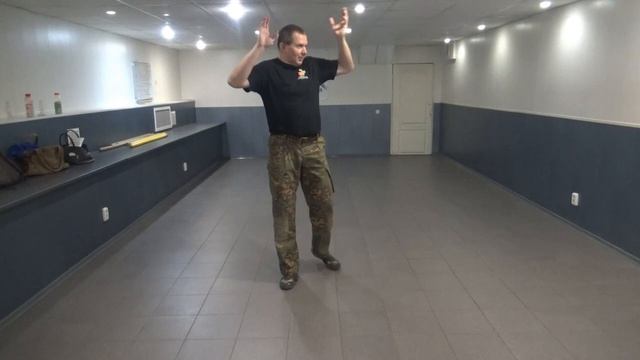 ОСНОВЫ ПРИКЛАДНОГО РУКОПАШНОГО БОЯ. Семинар. Стихии ВОЗДУХ и КОСМОС. смотреть онлайн