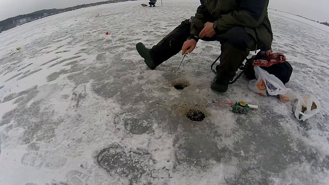СМОТРЕТЬ!!!!ЛОВЛЯ ПЛОТВЫ ЗИМОЙ НА МОРМЫШКУ НА ДНЕПРЕ смотреть онлайн
