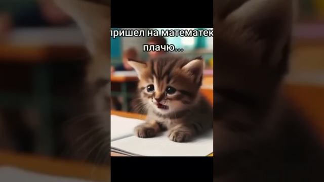 Всё видео кроме последнего дубля делал в другом приложений, и получился такой математик?#математик смотреть онлайн