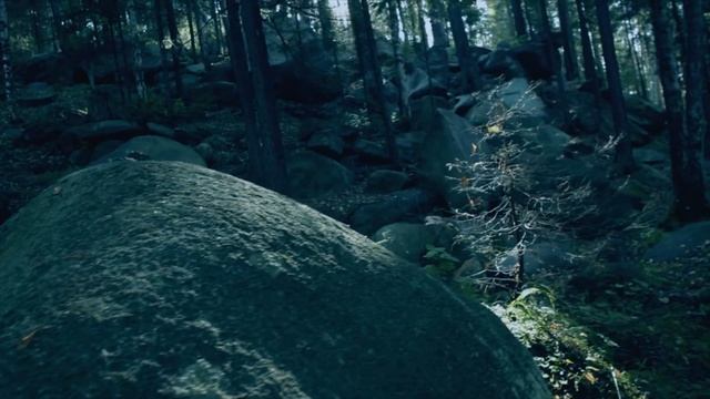 Самое лучшее в мире - сделано в Сибири! смотреть онлайн