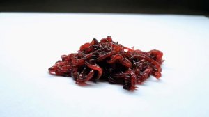 МОТЫЛЬ. ОПАСНЫЙ КОРМ?? КАК ХРАНИТЬ И КАК ВЫБРАТЬ.