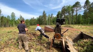 Веткоруб на практике