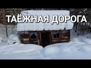 ПОЕЗДКА В ТАЙГУ/ЗАБРОШЕННЫЙ УЧАСТОК/ЧЕРВЯНКА#жизньвтайге #отшельник #тайга #бездорожье