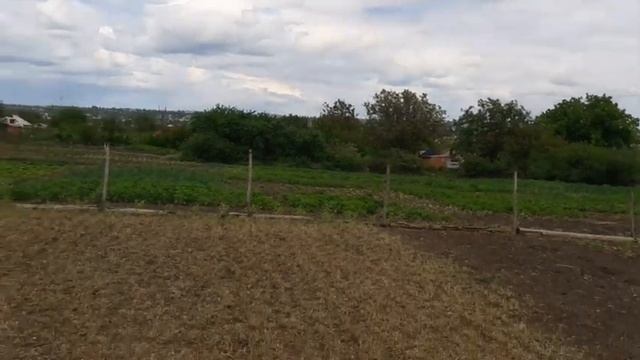 ЧЕМ и ЗАЧЕМ подкармливать люцерну после уборки смотреть онлайн