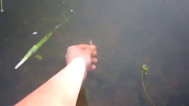 Новый способ ловли рыбы смотреть онлайн