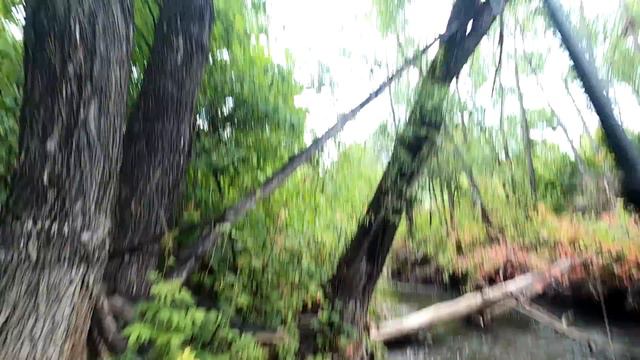 Рыбалка на Хариуса/ДА Ты не искал ! Искать надо н....!!! смотреть онлайн