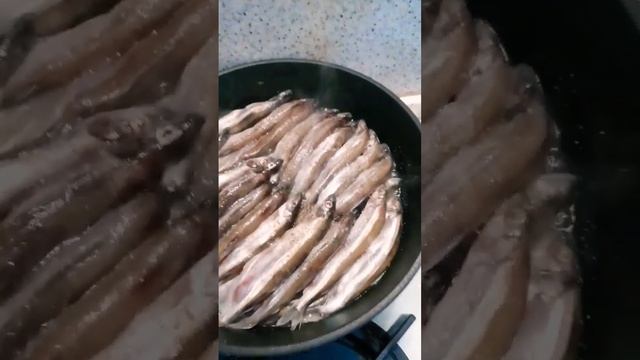 Аксессуары и Мода