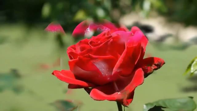 Невероятно вдохновляющая и Бесконечно КРАСИВАЯ МУЗЫКА Сергея Чекалина смотреть онлайн