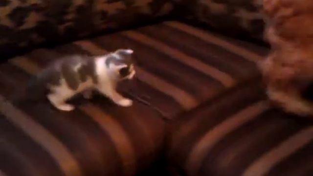 кто в доме хозяин смотреть онлайн