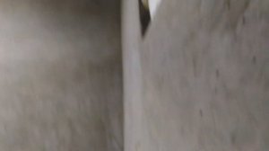 Полы по грунту из опилкобетона мой вариант.