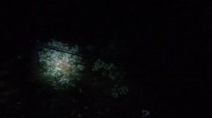 Цепная рычажная таль. Вытаскиваю ниву