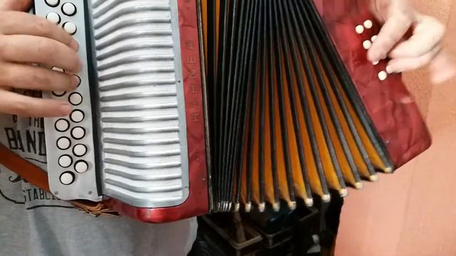 Acordeon Hohner Erica AD, Gaita Ponto ou sanfona 8 baixos, executada por Maurício Ryndack смотреть онлайн