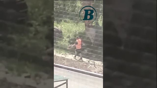 "Черные копатели" работают в Белом Яре смотреть онлайн