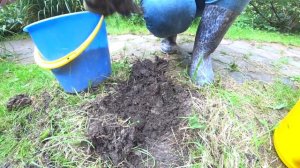 МАК ВОСТОЧНЫЙ. КАК ПОСАДИТЬ МАК?