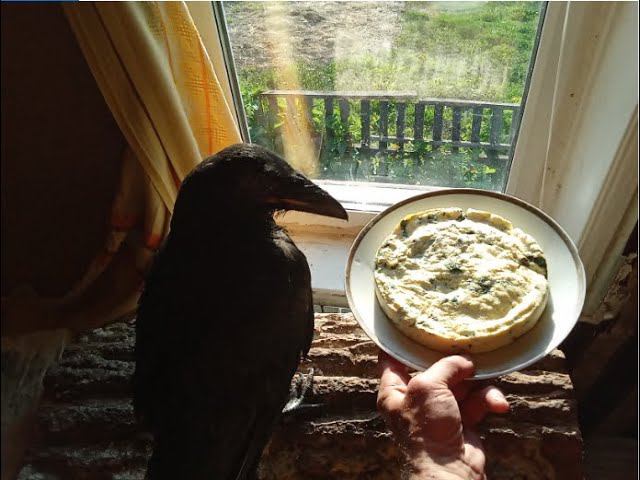 Зверский сыр по-черкасски и ликбез по алхимии. смотреть онлайн