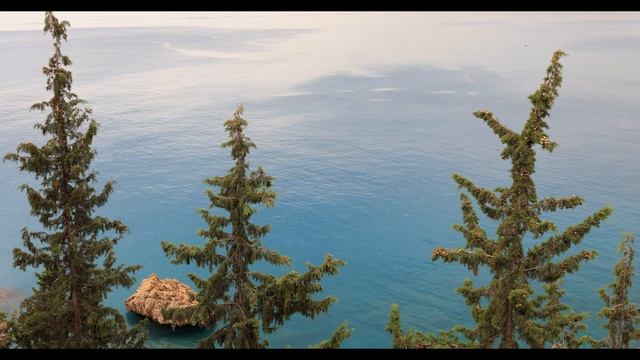 Воронина Лайф \ Обзор влогов \ Чем интересна зрителям блогер Воронина?! смотреть онлайн