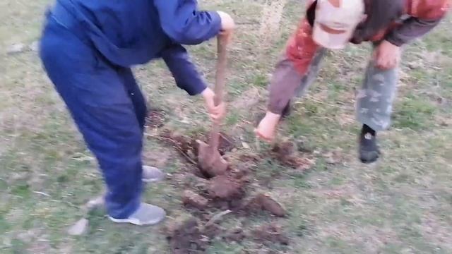 Поездка к блогеру / поиск металла с помощью металлоискателя / коп металла 2021 смотреть онлайн