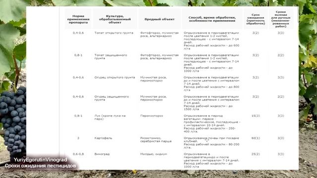 ? СРОКИ ОЖИДАНИЯ НА ВИНОГРАДЕ! Как мы ТРАВИМ СЕБЯ ХИМИЕЙ. Даже НЕ ДУМАЙ ТАК ДЕЛАТЬ. смотреть онлайн