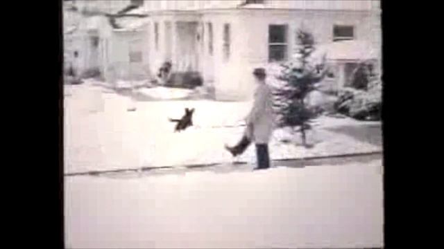 Winter Wonderland Music Video Jesse Waugh - Christmas Snow Song