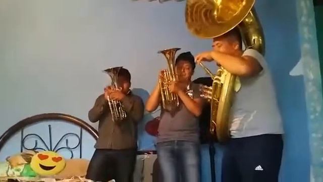 Saxor y tuba смотреть онлайн