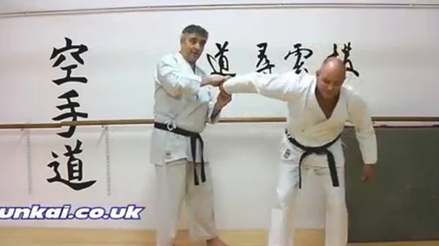 tuite basics Bunkai Strategies 2017 week 46 koryu karate oyo jutsu смотреть онлайн