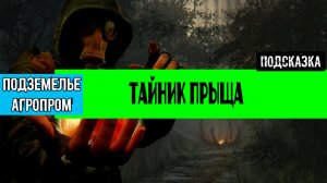 Золотой шар завершение OGSR тайник Прыща за аномалией телепорт в подземелье агропрома