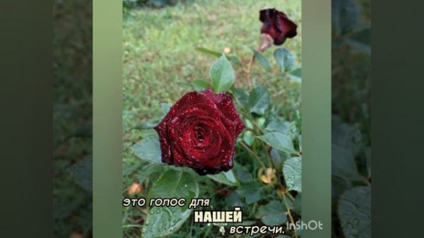 Лето любви ☀️❤️