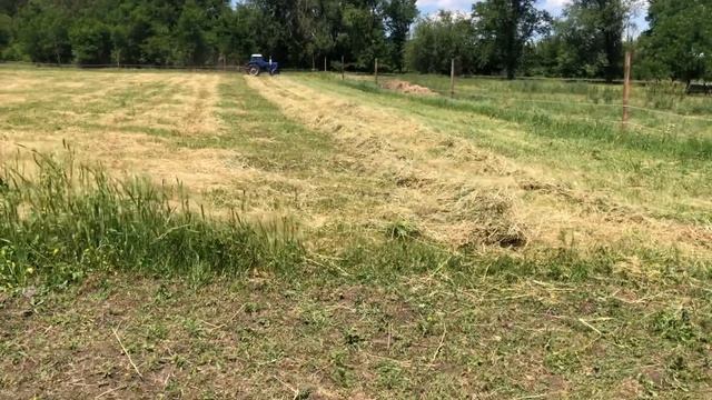 Ворошим, валкуем сено, МТЗ 82 и грабли смотреть онлайн