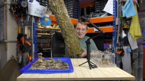 Что такое муравьиная ферма?