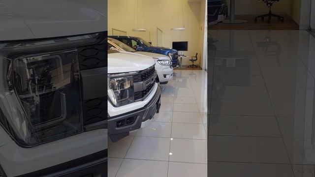 FORD RAPTOR 2023 смотреть онлайн