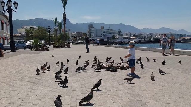 Северный Кипр. Бухта в Кирении (Харбор). смотреть онлайн
