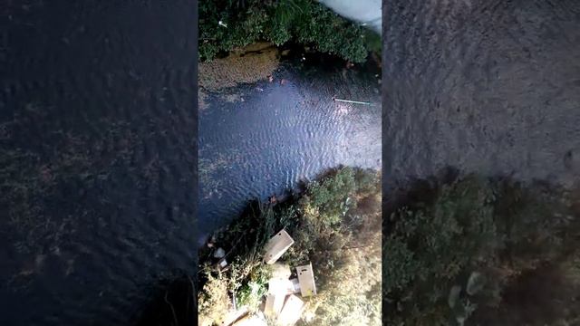 Вода пресная и чистая течёт в Чёрное море смотреть онлайн