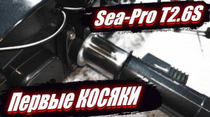 Первые Косяки |Sea-pro T2.6S|