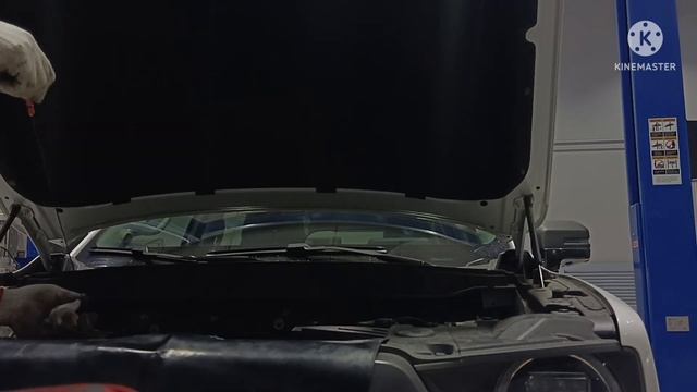 Haval Dargo 2022 5,000 km PMS смотреть онлайн