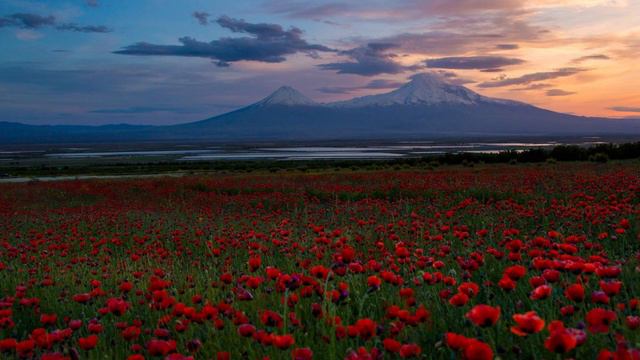 Sharan 6/8 Haykakan Bomb Sharan,